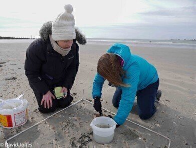 Science on the Beach
