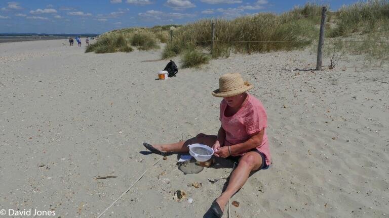 Science on the Beach