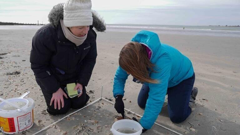 Science on the Beach