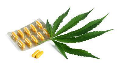 Cannabis based products analysis and quality control