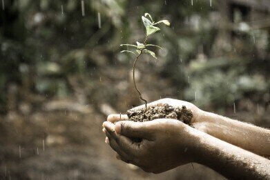 How Can Soil Quality Slow Global Warming?