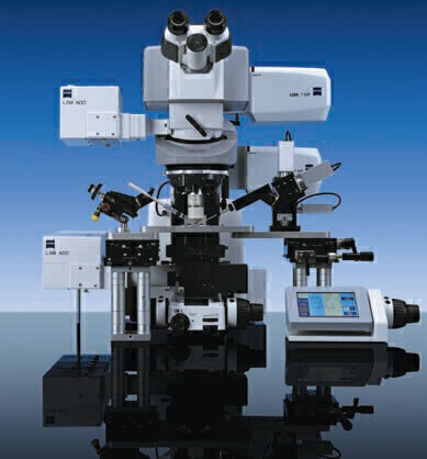 High-Resolution Multiphoton Microscopy with even More Flexibility