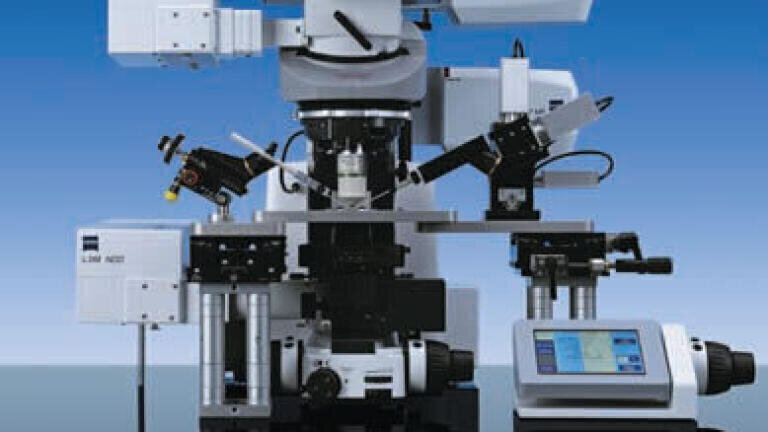 High-Resolution Multiphoton Microscopy with even More Flexibility