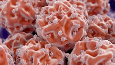 Cell Culture Medium for Clinical Research