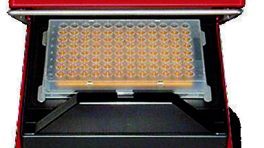 Automate Your PCR