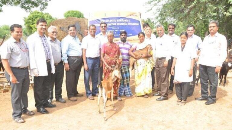 Vaccination Project Reveals Important Discoveries on PPR