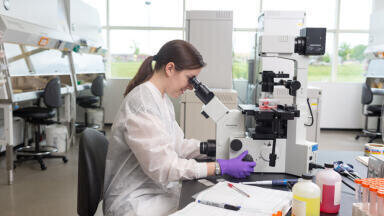 Rhabdovirus-free Insect Platform for Viral Vaccines and Gene Therapy Development Announced