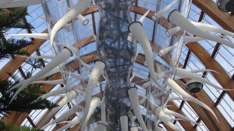 Luke Jerram: E.coli, a featured exhibit at Bacterial World. Pic courtesy of Luke Jerram
