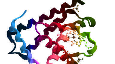 Analysis and Purification of Biomolecules
