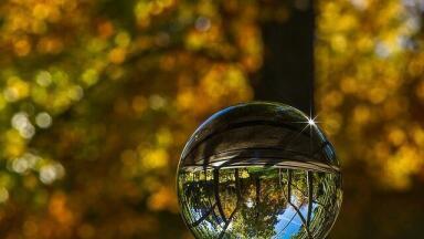 How Do Humans Anticipate the Future?