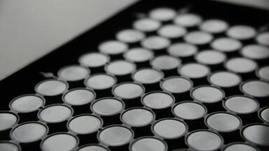 Microplate Design Enhances Fluorescence and Luminescence Measurement