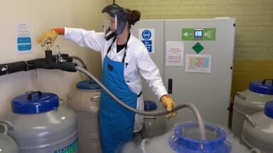 Liquid Nitrogen Technology Aids Quest for Healthy Oceans