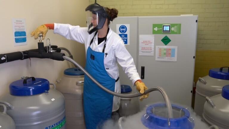 Liquid Nitrogen Technology Aids Quest for Healthy Oceans