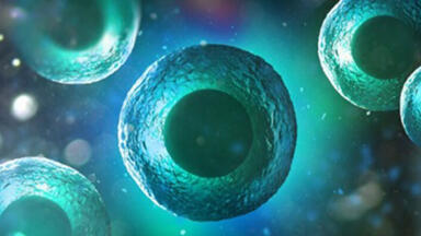 Gentle Efficient Buffer Reagents for Lysing Cells  