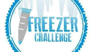 International Freezer Challenge 2019: Environmental Protection at -80°C  