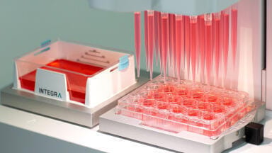 Cell Culture made Easy with New 24-channel Pipetting Heads