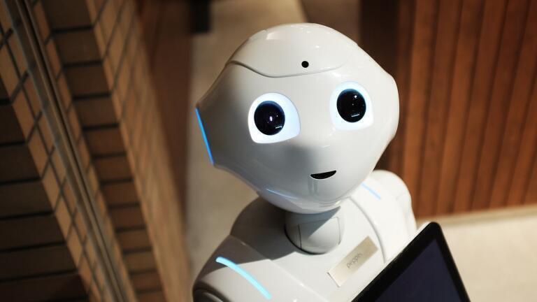 Do Robots Understand Ownership?