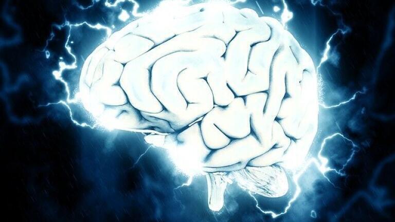 How Does LSD Affect the Brain?