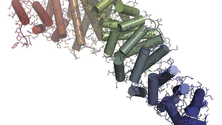 Expanded Wnt Signalling Pathway Product Portfolio Announced