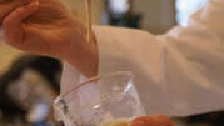 Wild About the Evolution of Domesticated Yeast