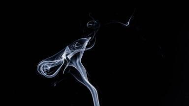 A Guide to Volatile Organic Compounds