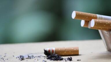 How Does Nicotine Affect Cells?