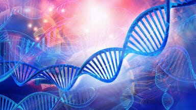 Streamlined ChIP-seq from Small Cell Numbers and Low Chromatin Concentrations