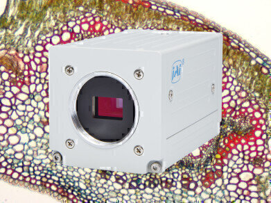 High Resolution CMOS Cameras Dedicated to Microscopy Imaging Showcasing at mmc 2019