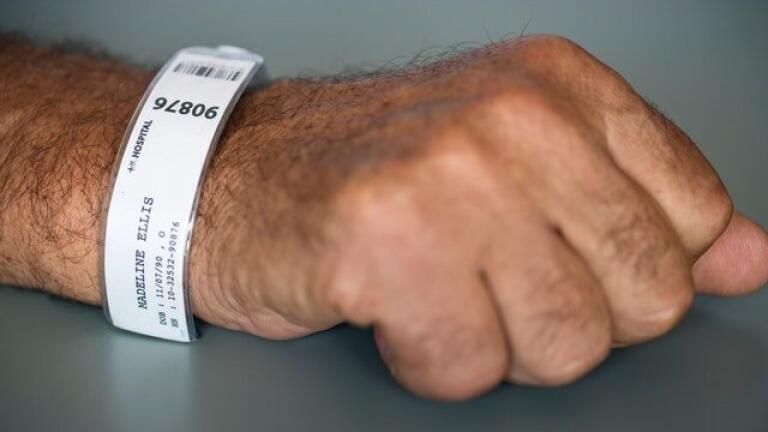 When Does Your Immune System Form?