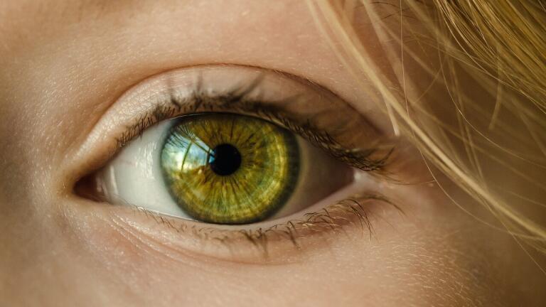 Are Eye Transplants Possible?