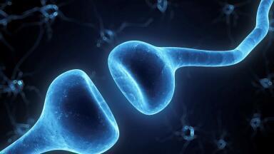 Real-time Biochemistry of Living Cells and Whole Organisms
