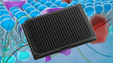 Ultra-Flat Quartz Bottom Microplates