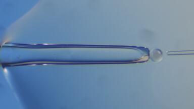 Olympus @ ESHRE presents Innovations