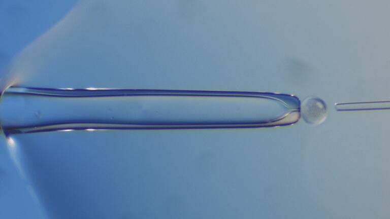 Olympus @ ESHRE presents Innovations
