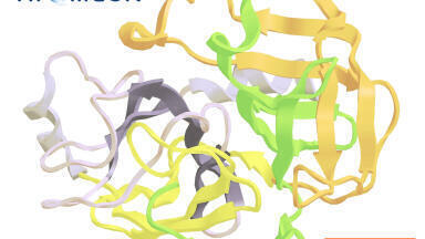 The Ideal Stationary Phase for Biotherapeutic Applications