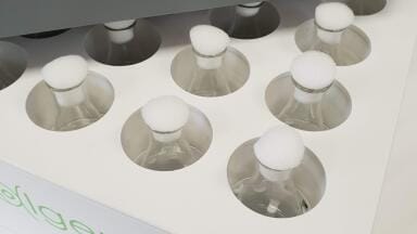 New Algem® HT24 Photobioreactor Launches at AlgalBBB