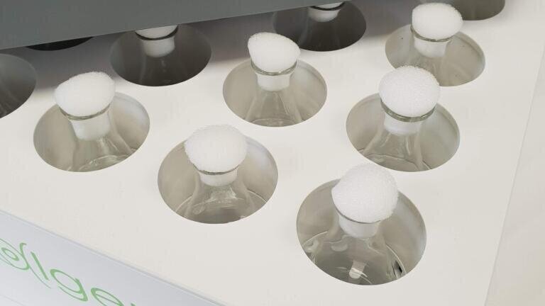 New Algem® HT24 Photobioreactor Launches at AlgalBBB