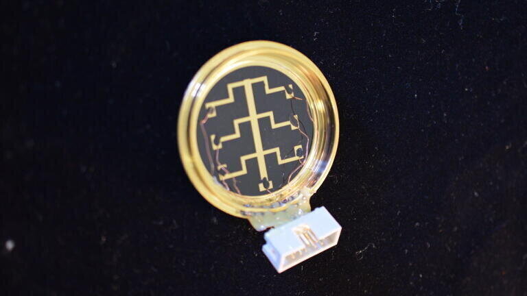 Warwick Technology Detects Bacteria in Minutes