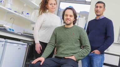 3D Culture can Simulate Interactive Nature of Biological Barriers