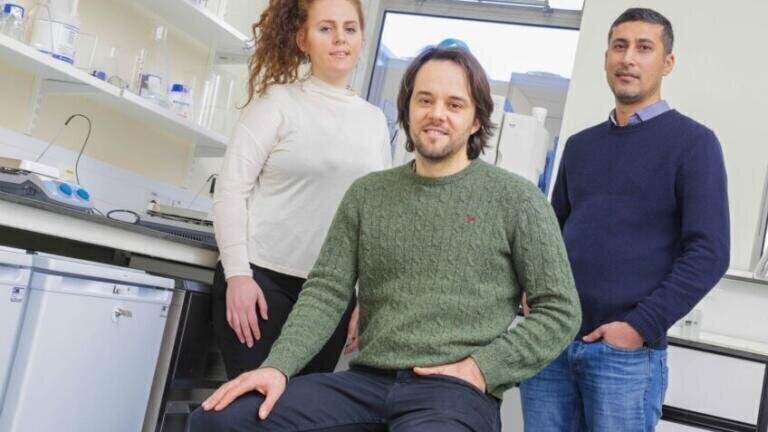 3D Culture can Simulate Interactive Nature of Biological Barriers