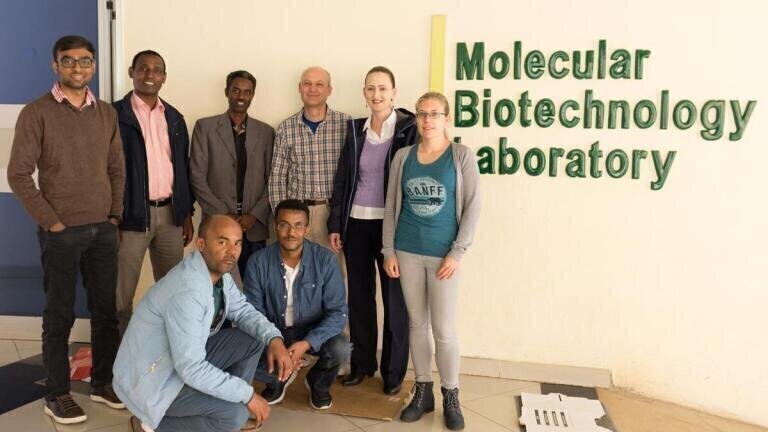 Collaboration in Wheat Disease Diagnostics Wins Innovator Prize