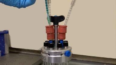 Biocatalytic Hydrogenation Optimisation