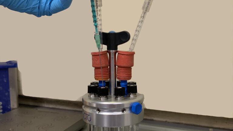 Biocatalytic Hydrogenation Optimisation
