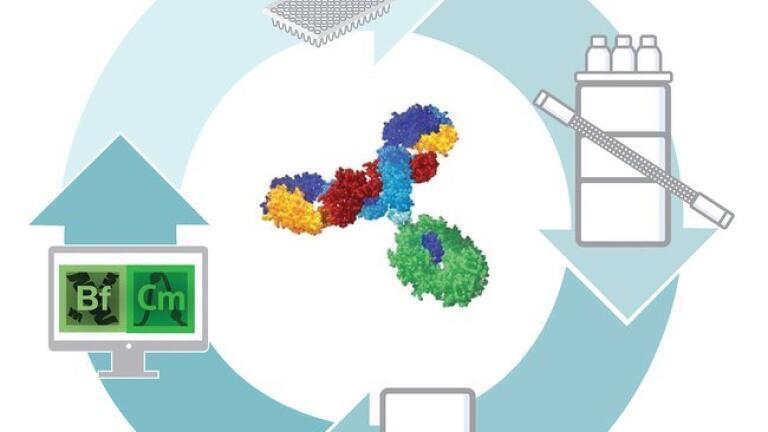 New High-resolution Mass Spectrometry-based Workflow Simplifies Biopharmaceutical Characterisation and Quality Control