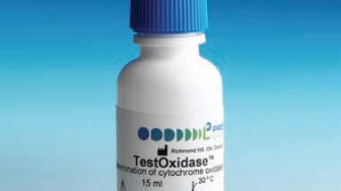 Testoxidase?