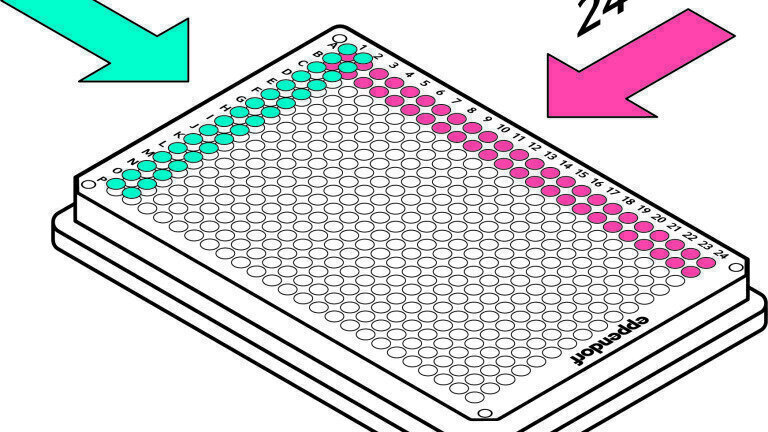 384. Ready. Set. Pipette!   
