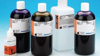 Immersion Oil