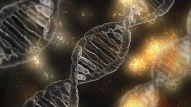 Scientists Find Physical Association Between Chromosomes