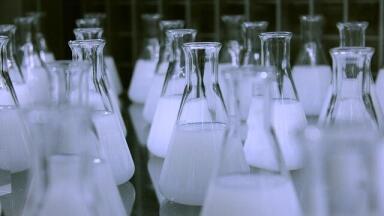 Which Countries Trust Science?
