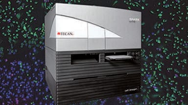 Live Cell Plate Reader with Real-time Image Cytometry Unveiled